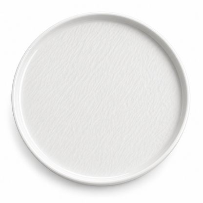 Danny Home Porcelain 10.5" Flat Plate