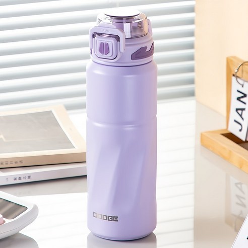 Dodge 820ml Thermos Bottle